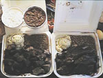 Bobby's Cajun BBQ
beef & links on the left
ribs on the right, w/some
red beans, rice,  & tater salad