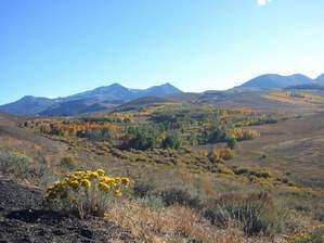 autumnal foilage on display down the road from Bridgeport, enroute to Lee Vining & Mono Lake...